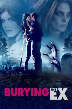 Burying the Ex (2014) Hindi Dual Audio 480p HDRip 300MB