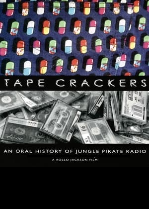 Pirate Radio (2009) Hindi Dual Audio 480p BluRay 400MB